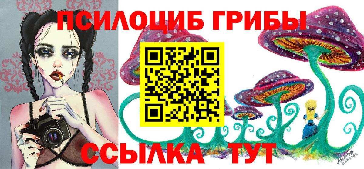 Псилоцибиновые грибы MAGIC MUSHROOMS  Вход с VPN  Псилоцибиновые грибы Magic Shrooms  Кинель 